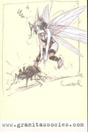 PETITE CARTE
