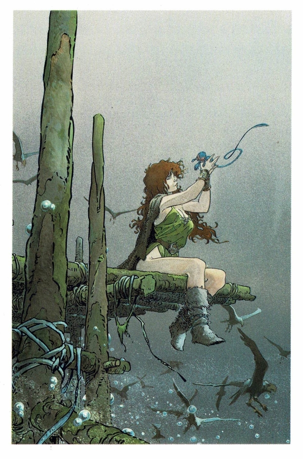 PELISSE 1